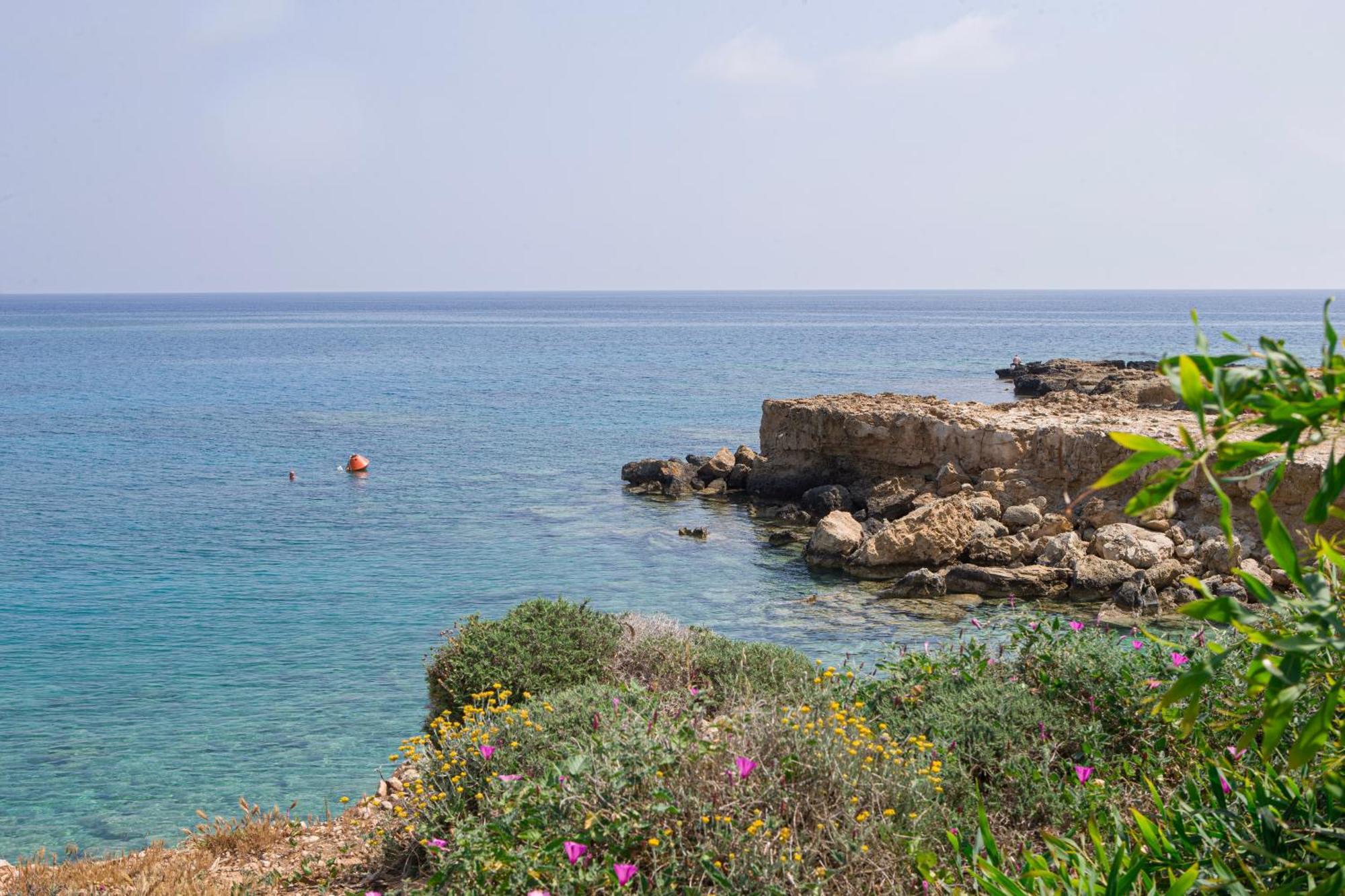 Horizon Villa Protaras Eksteriør billede